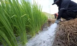 밀양 농업용수 가뭄 ‘심각’ 상향…전남광주도 가뭄 위기 고조