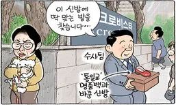 신데렐라를 찾습니다 [그림판]
