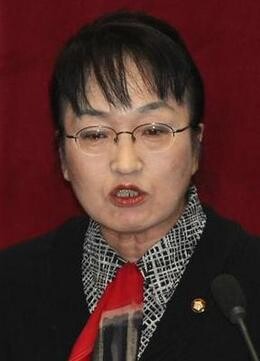 김진애 민주당 의원
