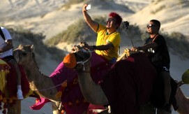 카타르 낙타 ‘학대’…40명 연속 태우고도, 새벽부터 끌려나가