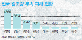 전국 일조량 부족 피해 현황