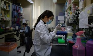 “R&D 예산 삭감, 한국 젊은 과학자에 치명타” 네이처에 기고