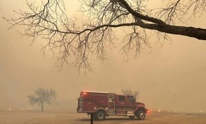 서울 면적 7배 타버린 텍사스…재앙적 산불이 늘고 있다