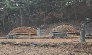 ‘고려에 충절’ 이오 선생 부부 묘역, 경상남도 기념물 지정된다