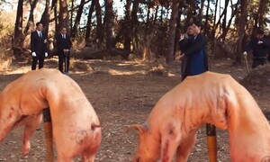 ‘파묘’에서 칼로 난도질한 돼지는 실제 사체였다
