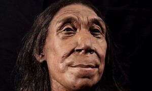 7만5천년 전 네안데르탈인 여성 얼굴…뼛조각 200개 맞춰 복원했다