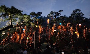 밤하늘에 내리는 불꽃 비…11일 ‘세종낙화축제’ 열려