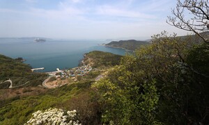 부산 가덕도 공항, 서울 대형 건설사가 다 짓는다