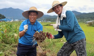 달방 얻고 토란 캐고… 조국의 ‘광폭 행보’