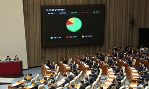 금투세 폐지 통과, 내란 정국 속 여야 합의