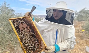“벌 돌보며 슬픔 잊고 지역과 연결”
