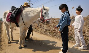 폐목장에서 죽음 기다리던 스물두 살 백설이, 다시 행복해