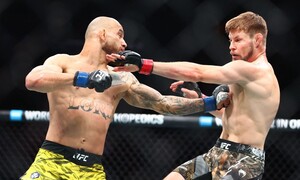 나치 옹호까지 이용해먹는 ‘옥타곤 비즈니스’