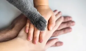 비인간을 위한 민주주의 [남종영의 인간의 그늘에서]