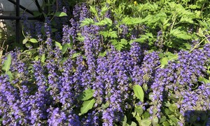 우리는 서로에게 오염되며 공생한다...뒤엉킴의 글쓰기