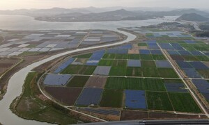 완도 바다, 제주 바람은 누구의 것인가