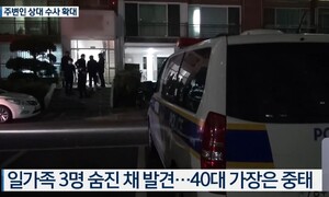 중계식 아동학대 보도, 유사 사건은 반복된다