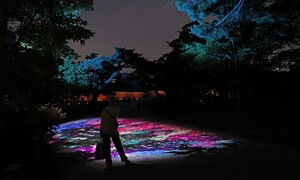 무더위 잊게 하는 서울 밤 일곱 명소