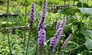 한여름 풀 베느라 “악!”…농사꾼 동지들과 굴려보고 싶은 것은