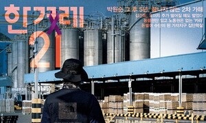 정치가 여수의 대안을 찾아주세요