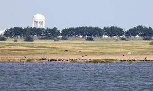 새만금 신공항, 불멸의 잼버리