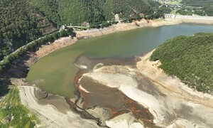 인근보다 유독 심한 강릉 가뭄… 강수량은 거들었을 뿐