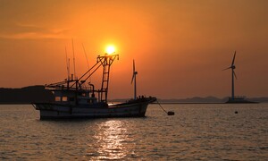 망둑어와 요트, 전곡항의 여름 송가