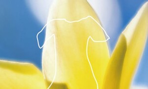 ‘위안부’가 입던 그 옷, 간단후쿠를 기억한다는 것