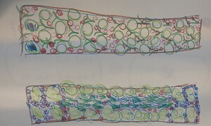 아이들과 조선무 씨앗 심자 솟아나는 것은