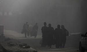 피로 물든 땅, 내던져진 생명… 사진으로 본 가자 2년