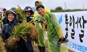 나락에 영근 간절함, 평화