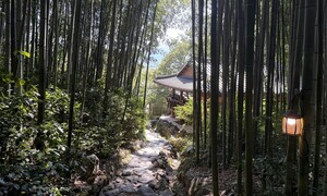 중식 셰프가 수타면 뽑듯 ‘나의 문장’을 훈련하면