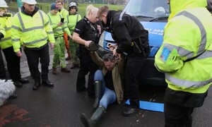 무자비한 나무 베기 멈추려…영국 셰필드 시민들이 도마뱀이 됐다?