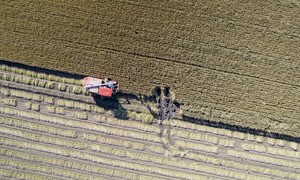 ‘쌀값 죽이기’ 올인, 이것이 정책이란 말인가
