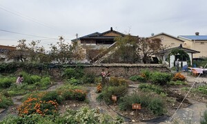 놀다, ‘퍼머컬처 정원’에서 다 함께