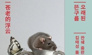 훔쳐보는 시선 끝에 자기 자신이 있다