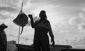 배에는 빠꾸가 없응께