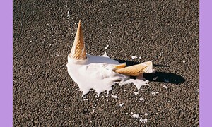 녹색성장론을 믿느니 코끼리를 냉장고에 넣어라