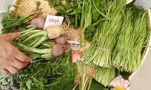 “농부시장 마르쉐, 스스로 음식 만드는 사람들을 응원하죠”