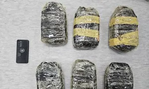 베트남서 마약 20㎏ 밀반입해 국내 유통…일당 14명 검거