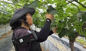 팔 들고 14시간 일해도 “다음날 안 아파”…‘로봇 어깨’, 농촌을 지켜줘