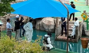 곡성 물놀이장 9살·10살 형제 사인은 ‘감전 후 익사’