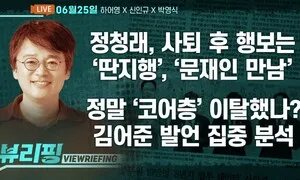 [뷰리핑] 정청래, 민주당 대표 사퇴 후 행보는?