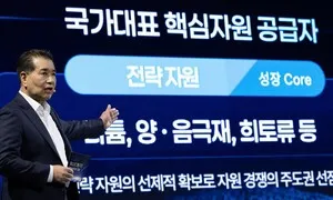 포스코는 철강 기업?…리튬·에너지 중심 ‘3각 편대’ 재편