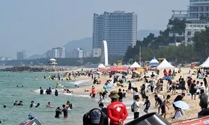 개장 첫날 발송된 ‘상어 출현’ 문자…동해안 해수욕장 주의보