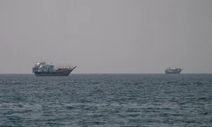 예멘 홍해 지나던 화물선…정체불명 무장 괴한에 피격