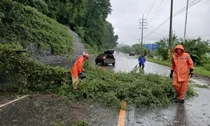 전북, 최대 200㎜ 이상 비…전역 호우특보