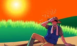 폭염 속 축사서 일하던 네팔 노동자 숨져…온열질환 여부 조사
