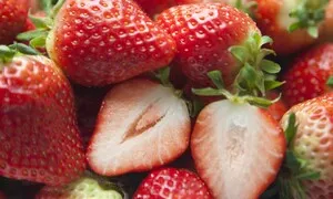 상반기 ‘K과일’ 수출 20% 증가…딸기 역대 최대, 참외도 4.1% 늘어