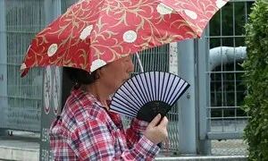 비 오는 후텁지근 제헌절, 낮 최고 32도…주말도 비 쏟아진다